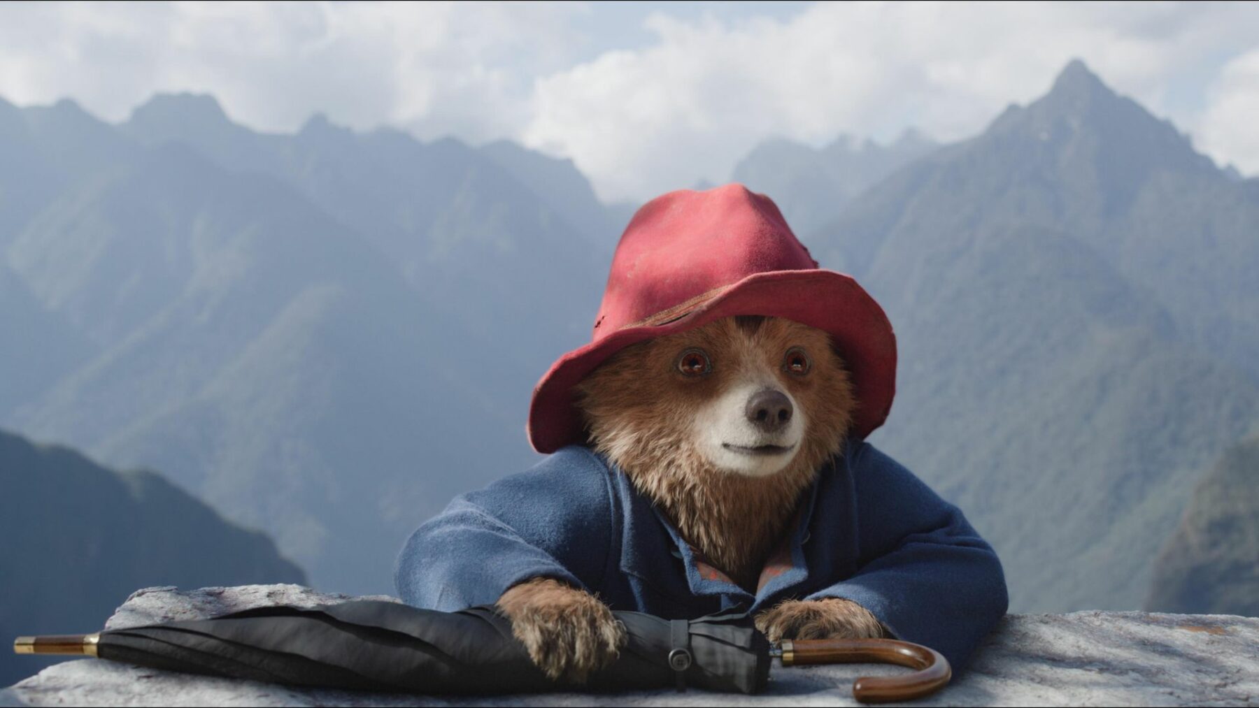 Paddington w Peru | seans przyjazny sensorycznie - okładka